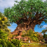Animal Kingdom