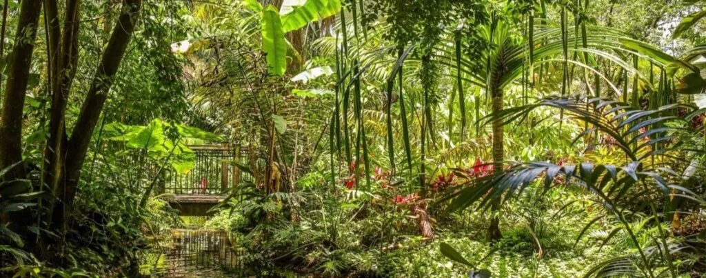 Parque Harry P. Leu Gardens