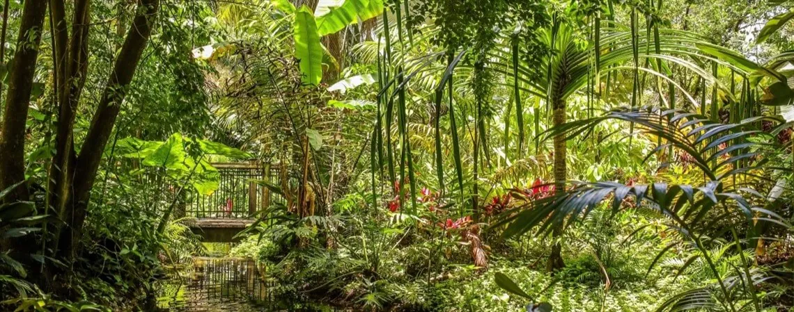 Parque Harry P. Leu Gardens Parque Harry P. Leu Gardens