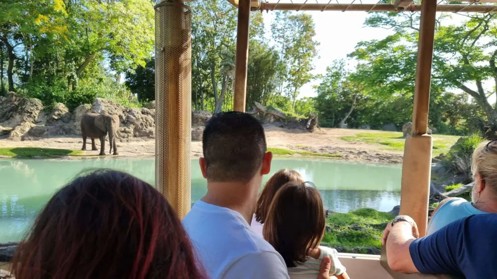 Kilimanjaro Safaris