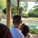 Kilimanjaro Safaris